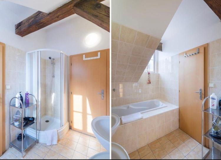 Apartament Stepanska *